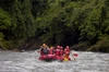white water rafting smoky mountains