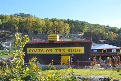 Goats on the Roof in Pigeon Forge