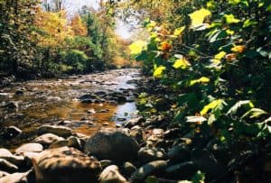 creek in the smoky mountains