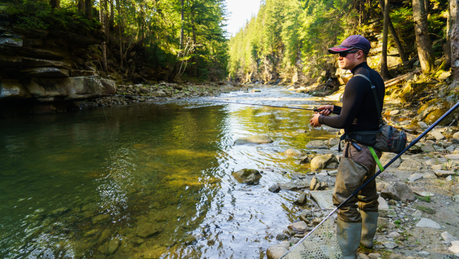 8 of the Best Spots to Go Fishing Near Gatlinburg