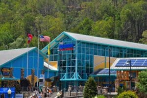 ripley's aquarium of the smokies summer