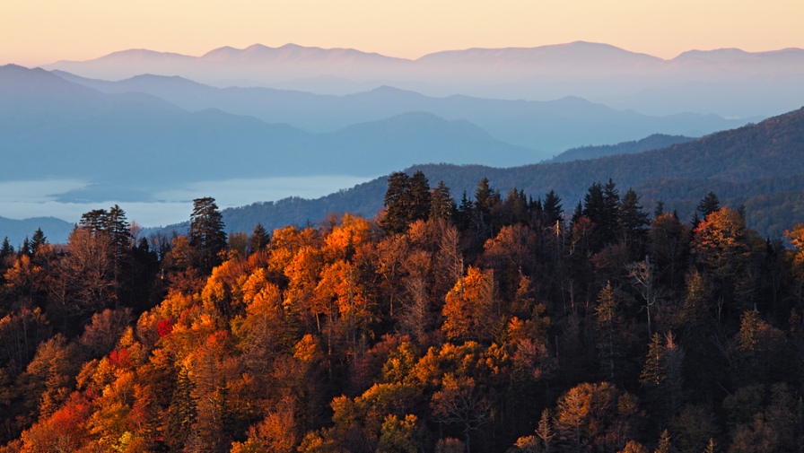 6 Ways to Experience Autumn at Our Gatlinburg Condos