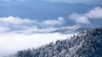 6 Tips for a Spectacular Christmas in a Gatlinburg Condo