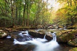 River in the Smoky Mountains