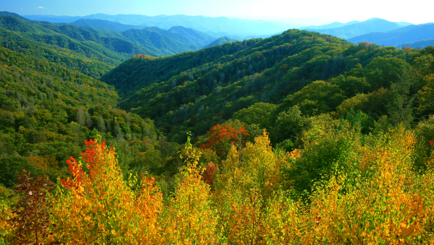 Top 5 Reasons Why Families Love Staying in Our 3 Bedroom Condos in Gatlinburg TN