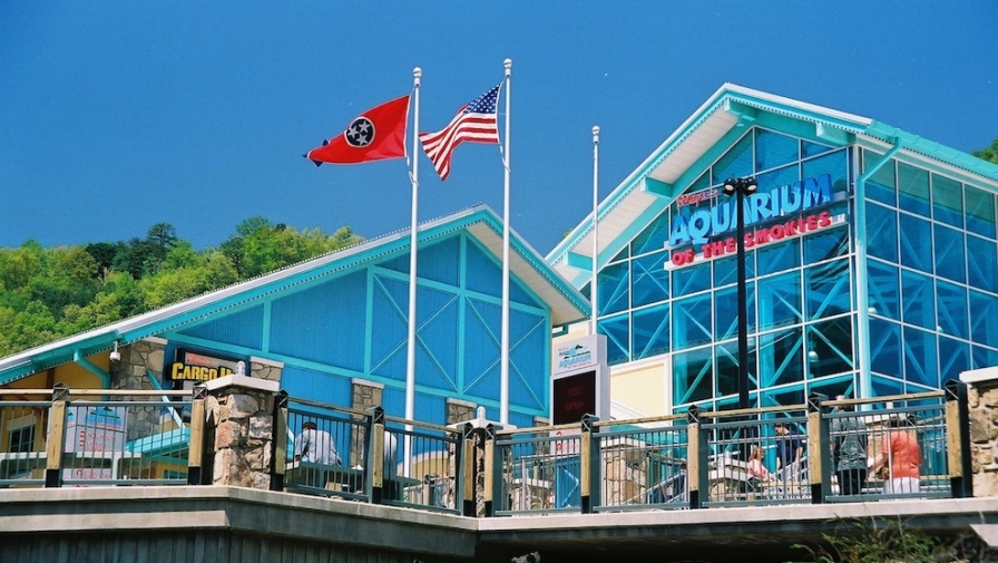 5 Fun Ripley’s Attractions in Gatlinburg That You Need to Experience