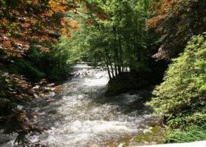 River running by Park Place Condos