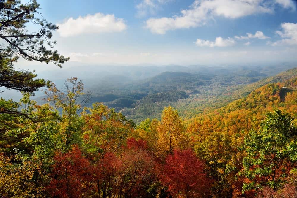Beautiful foliage in the mountains in Gatlinburg in the fall.