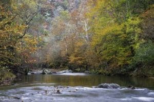 A river and trees in Gatlinburg TN in late fall.