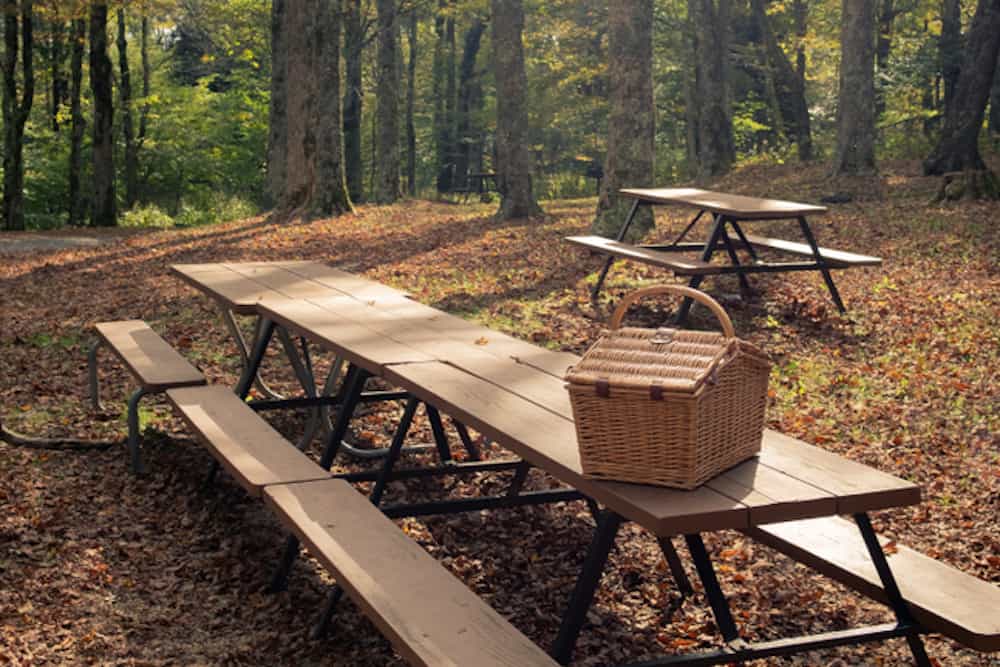 picnic area smoky mountains