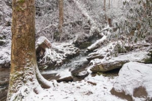 hiking trail in the smoky mountains with snow