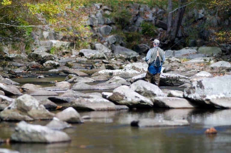 The Ultimate Guide to Smoky Mountain Trout Fishing
