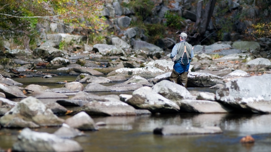 6 Great Places to Go Fishing in the Smoky Mountains