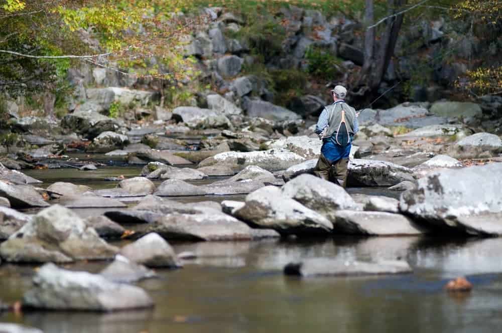 man fishing in the smoky mountains