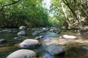 gatlinburg trail in smoky mountains