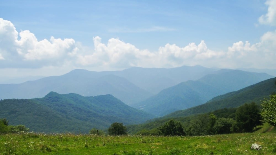 Top 5 Things You Should Know About the Great Smoky Mountains