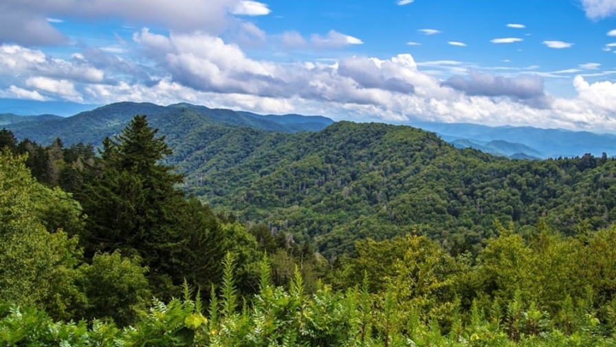 Top 4 Things to Do in the Great Smoky Mountains National Park