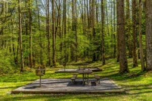 picnic area