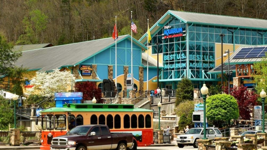 4 Indoor Activities in Pigeon Forge and Gatlinburg That You Don’t Want to Miss