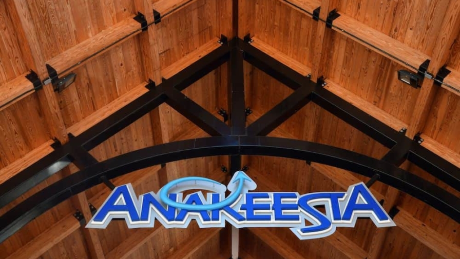 Top 4 Reasons to Attend the Blooms and Tunes Spring Event at Anakeesta