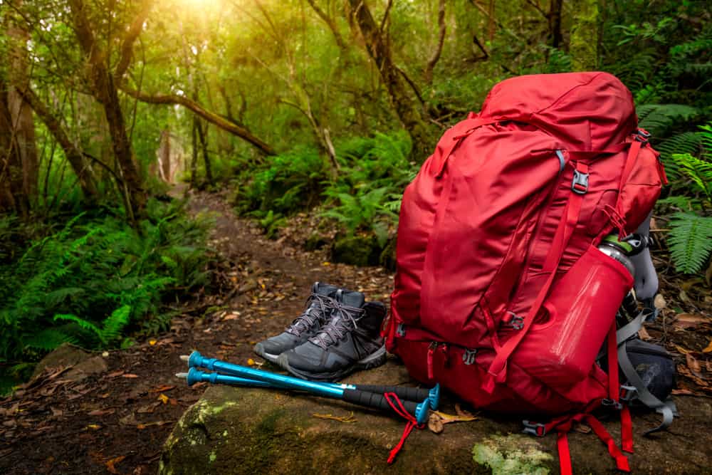 hiking gear in forest