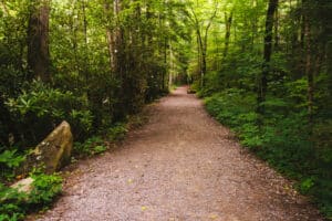 hiking trail in the Great Smoky Mountains National Park 