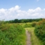 Top 5 Spring Hikes in the Smoky Mountains