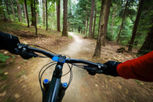 mountain biker biking down trail