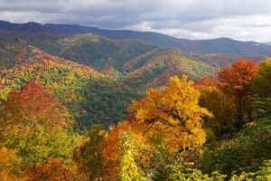 fall foliage on Smoky Mountain landscape