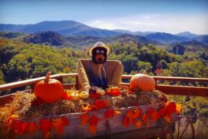 fall decor at Anakeesta's Bear-Varian Fall Festival